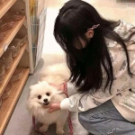 玩具英雄内购破解版下载